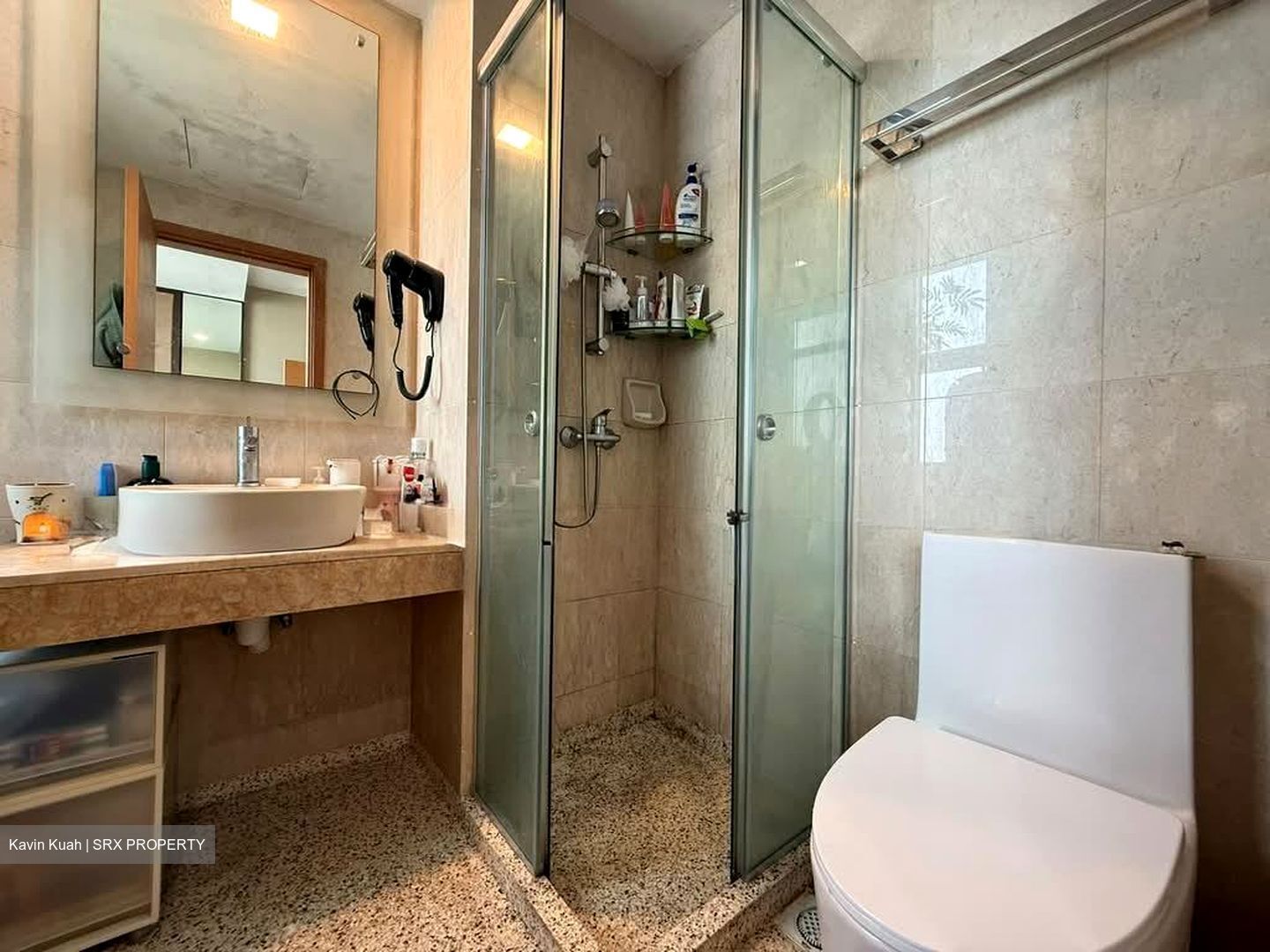 Hillview Regency (D23), Condominium #595871531